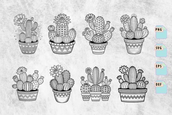 The Hand Drawn Cactus Bundle: A Graphic Designer's Review